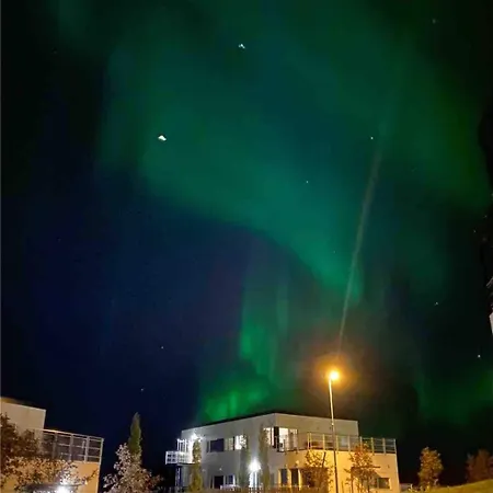 Sea And Mountain View Free Parking Apartment Tromso